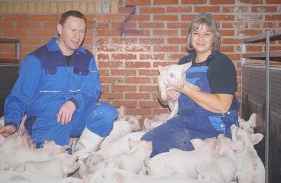 Dyrlæge reddede besætning ved at styrke grisenes immunforsvar