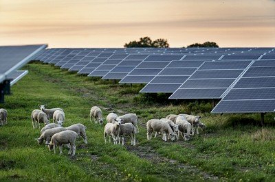 Drift af solcelleparken ved Navnsø bliver gift- og gødningsfri